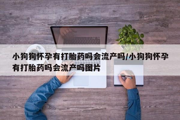 药流药怎么买小狗狗怀孕有打胎药吗会流产吗/小狗狗怀孕有打胎药吗会流产吗图片