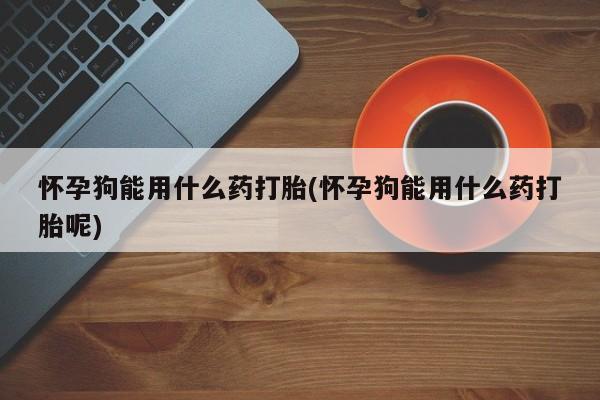 药流药怎么买怀孕狗能用什么药打胎(怀孕狗能用什么药打胎呢)
