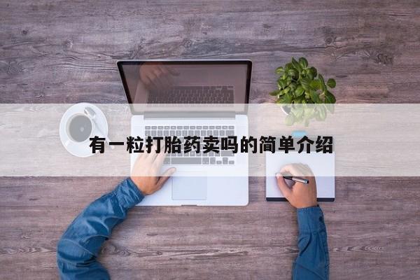 药流药怎么买有一粒打胎药卖吗的简单介绍